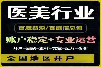 大型企业SEM外包实战案例